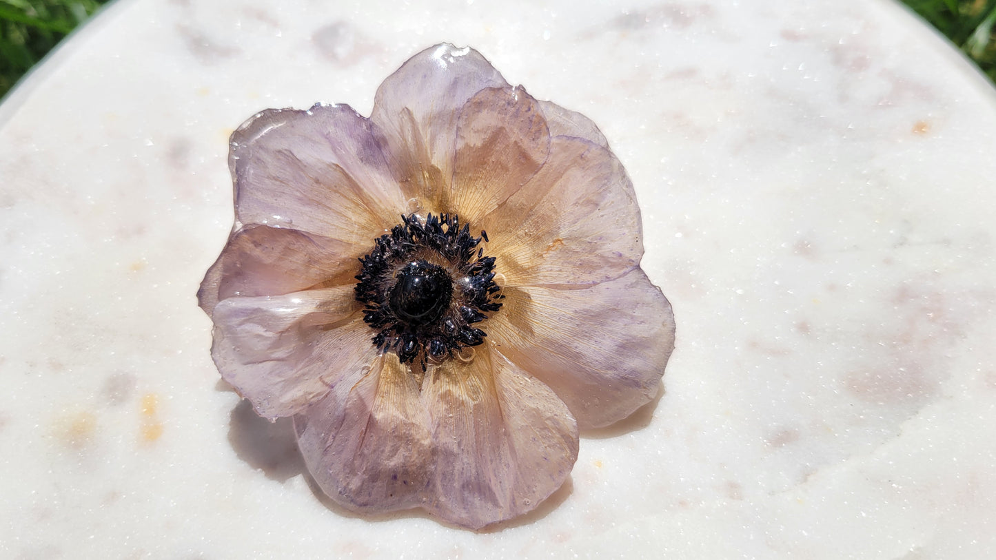 Anemone pin