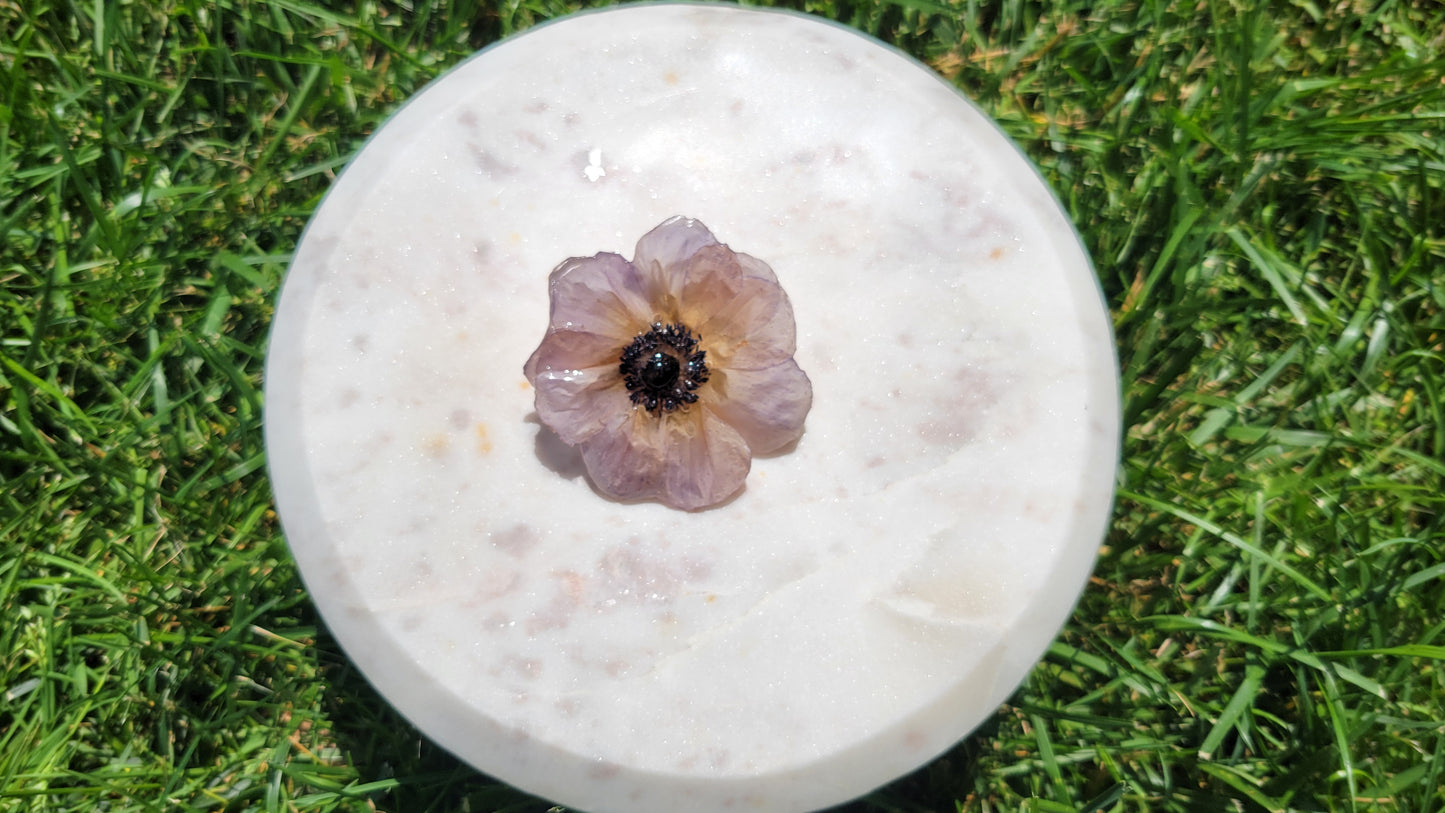 Anemone pin