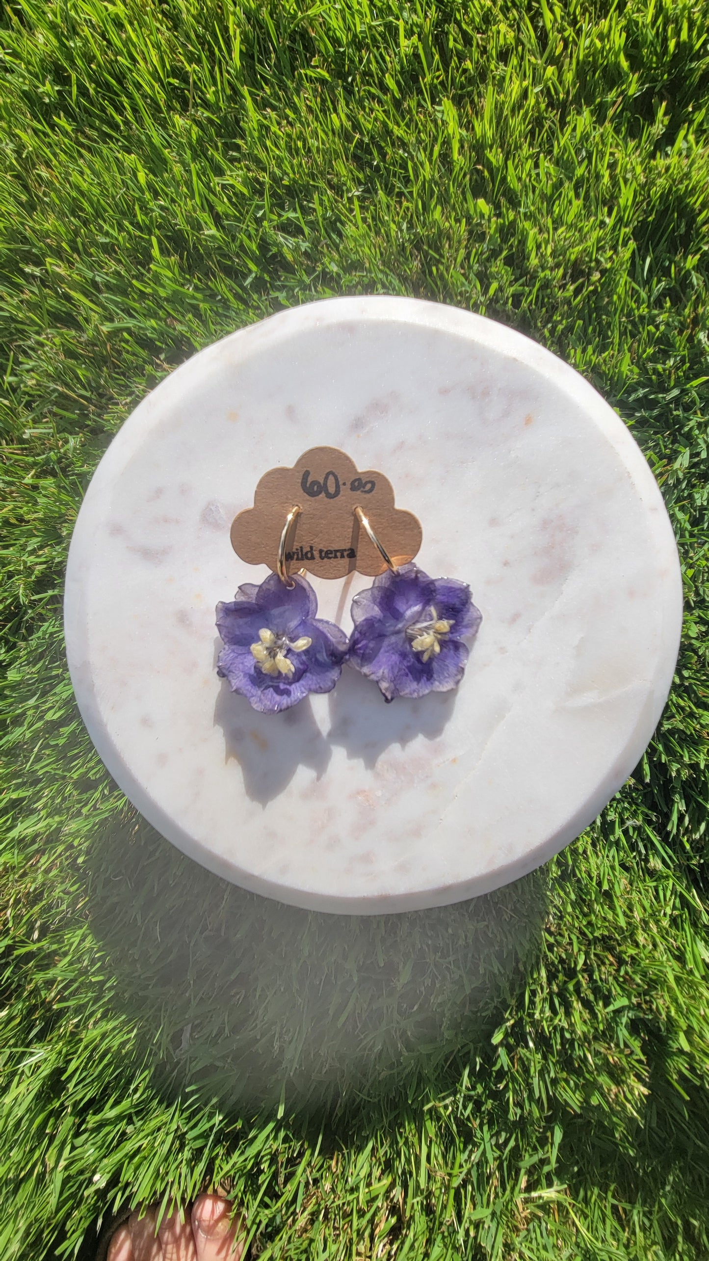 Delphinium Gold Hoops