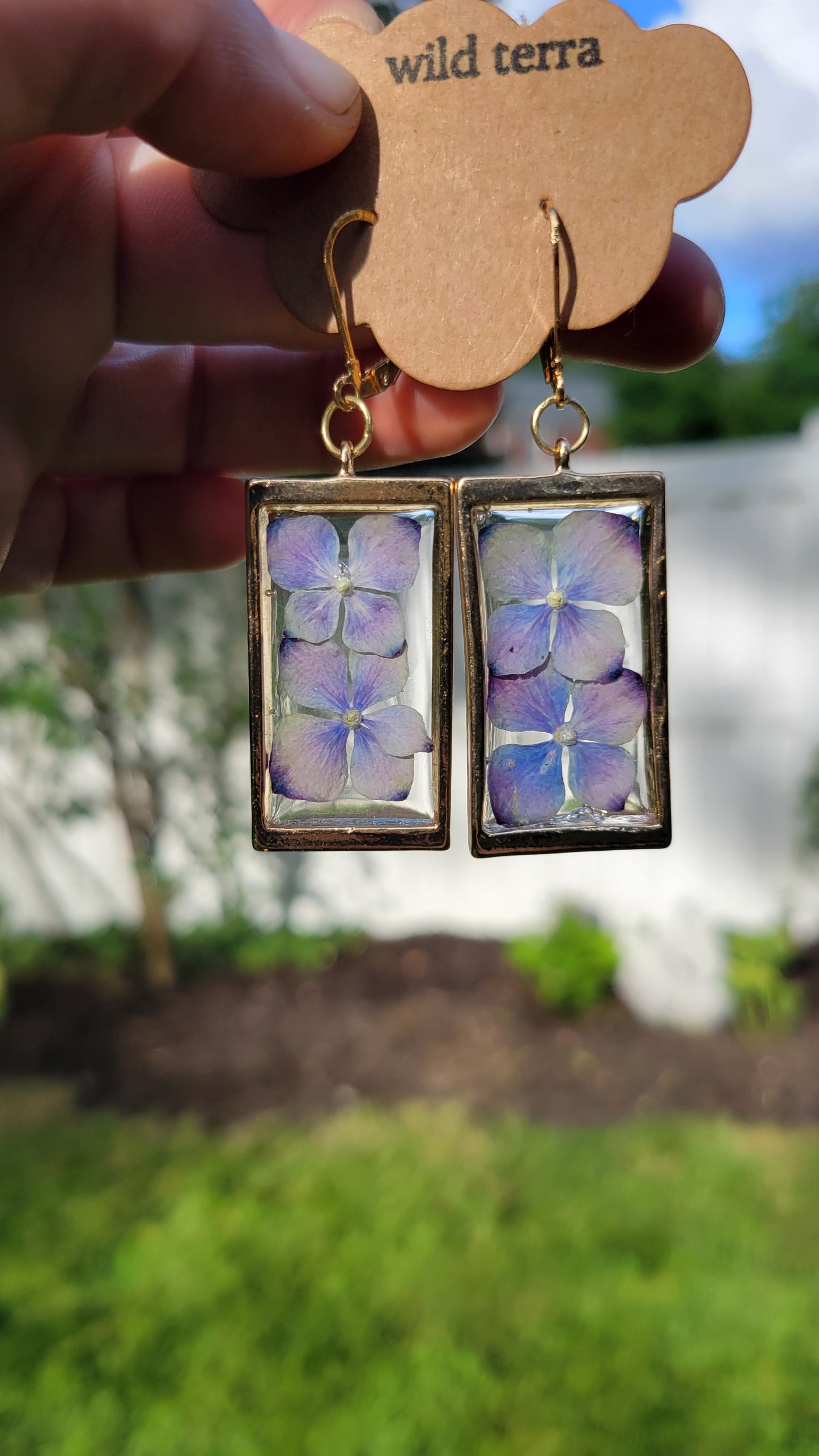 Hydrangea Dangles
