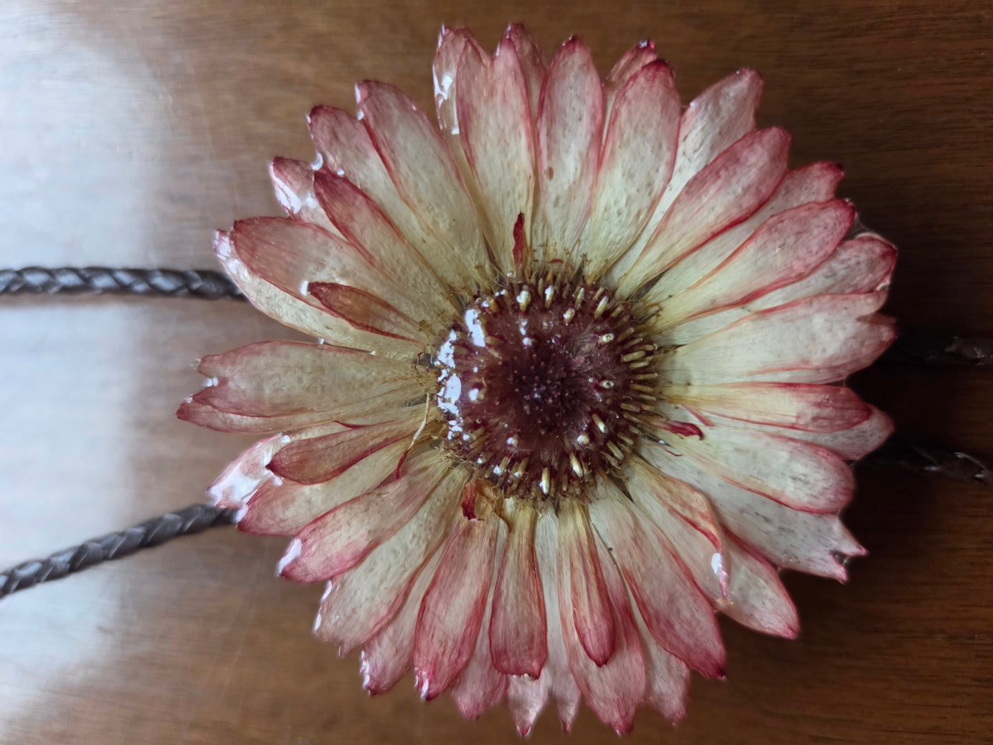 Gerber Daisy Bolo Tie